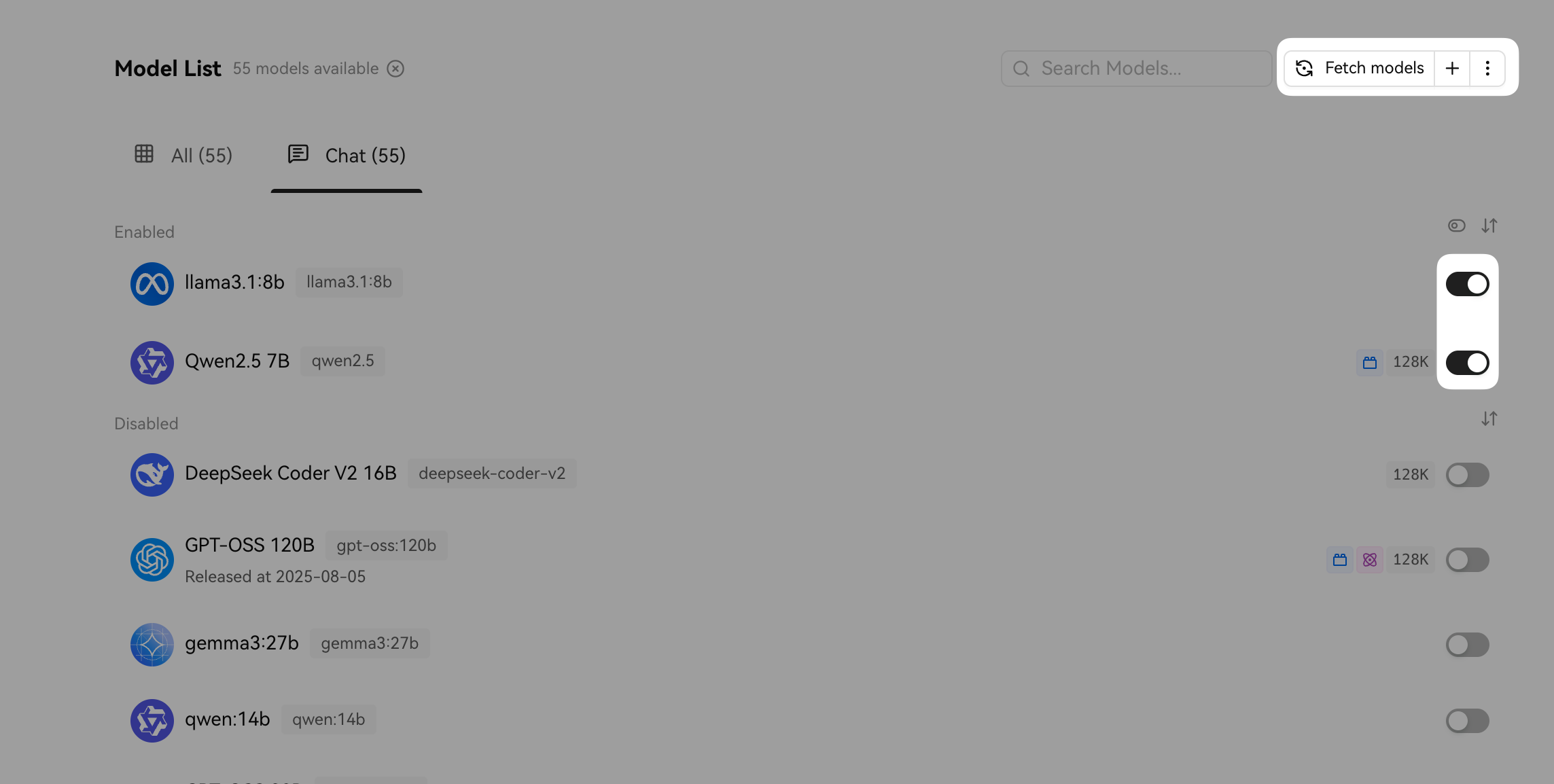 Fetch model list and enable models