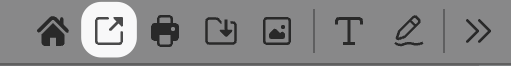 Open pdf icon